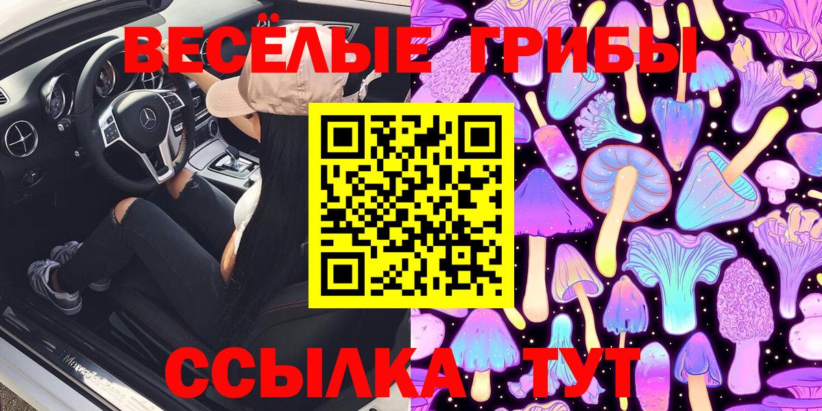 Казань  Псилоцибиновые грибы MAGIC MUSHROOMS  Вход с VPN 